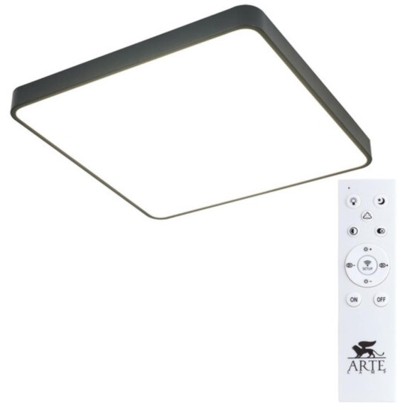 Настенно-потолочный светильник Arte Lamp A2669PL-1BK SCENA светодиодный LED 100W