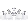 Люстра потолочная Arte Lamp A4038PL-8CC IBIZA под лампы 8xE14 40W