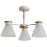 Люстра потолочная Arte Lamp A1031PL-3WH TYLER под лампы 3xE27 60W
