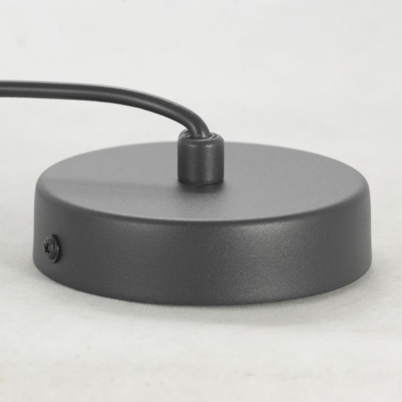 Подвесной светильник с 1 плафоном Lussole LSP-8488 BUTLER IP21 под лампу 1xE27 40W