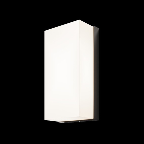 Настенный светильник (бра) Outdoor O454WL-L10GF3K